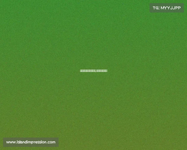 电子竞技精神意义何在,电子竞技的精神